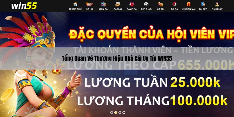 Tổng quan về thương hiệu nhà cái uy tín WIN55